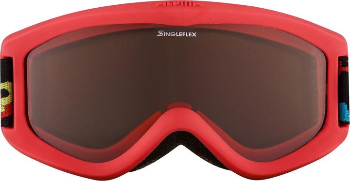 Actual product image ALPINA SPORTS Carvy 2.0