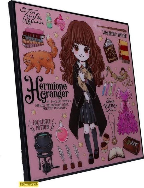 Image du produit Nemesis Now Harry Potter - Hermione Granger Crystal Clear Picture (32 x 32 cm)