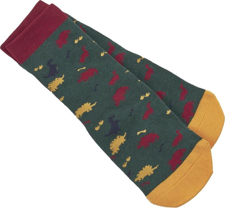Actual product image Tikaboo Childrens/Kids Dinosaur Long Length Socks (25 - 31)