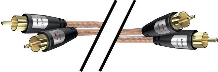 Actual product image Inakustik 2in1 (0.75 m, Cinch)