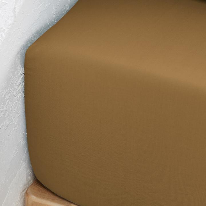 Actual product image La Redoute Interieurs Percale Bio (180 x 200 cm)