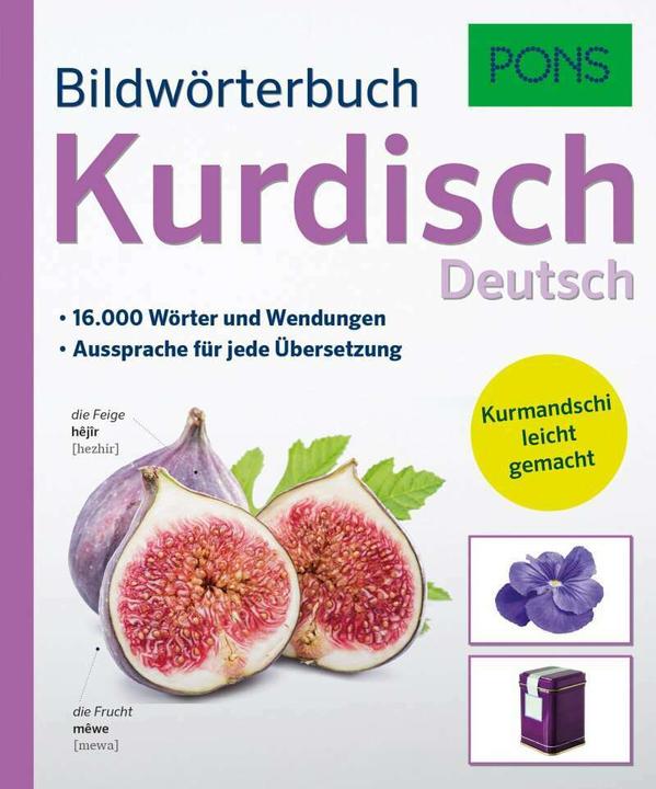 Actual product image Bildwörterbuch Kurdisch (German, PONS GmbH, 2017)