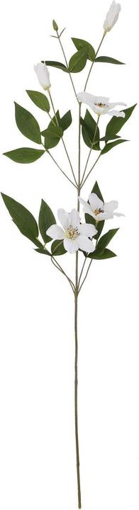 Actual product image Hill Interiors Florida Clematis Artificial Flower (77 cm)