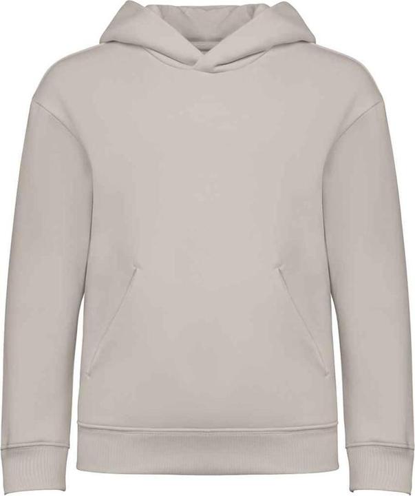 Actual product image Native Spirit Childrens/Kids Hoodie (134, 140)