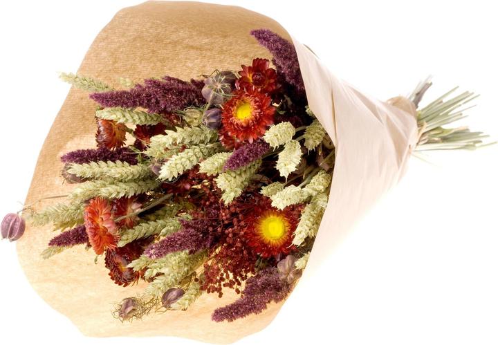 Actual product image Anjel Ashley (Dried flowers)