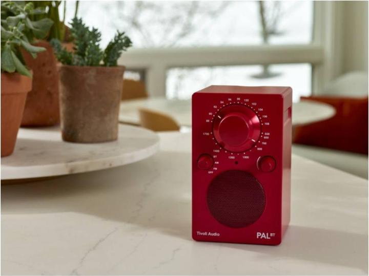 Actual product image Tivoli Audio Pal Bt (FM, AM)