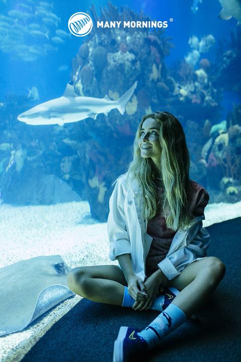 Produktbild Many Mornings Ocean Life (Einzelpack, 35 - 38)