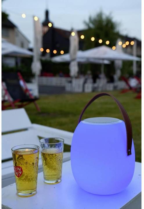 Actual product image Megatron LED Outdoor Table Lamp with Speaker Outdoor Table Lamp (50 lm)