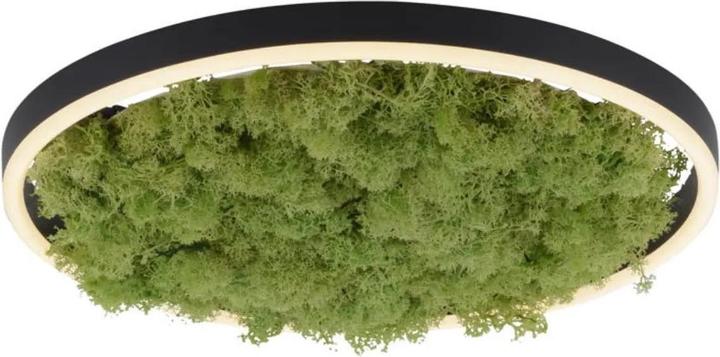 Produktbild Leuchten Direkt Green Ritus (2650 lm)