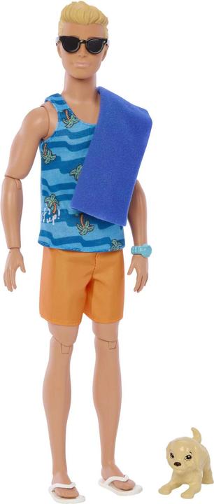 Image du produit Barbie Coffret Surf Ken