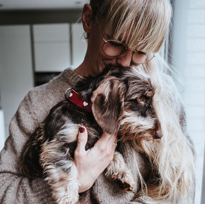 Produktbild Hunter Halsband Love für Hunde 42 (42, Hund, Hundesport)