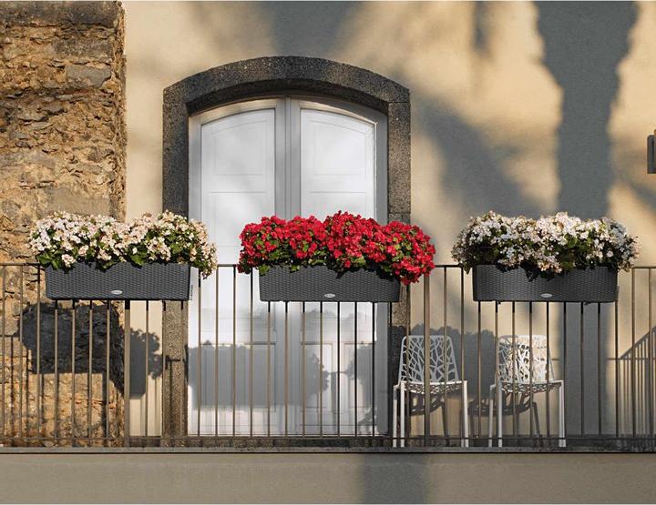 Image du produit Lechuza Chalet Balconera (19 cm)