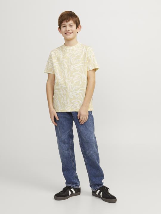 Image du produit Jack & Jones Jorlafayette Aop Tee Ss Crew Neck Jnr (176)