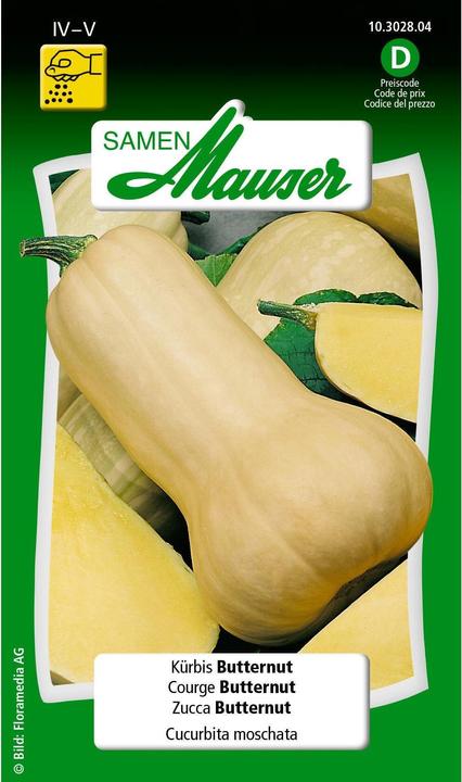Kürbis Butternut (Gemüsesamen)