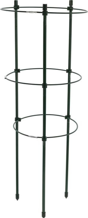 Actual product image ProGarden Pflanzenstütze, rund, 60 x Ø 21 cm (21 cm, 21 cm)