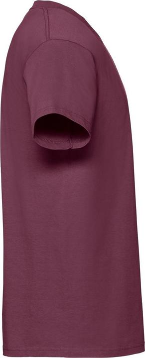 Image du produit Fruit of the Loom Tee-shirt premium (L)