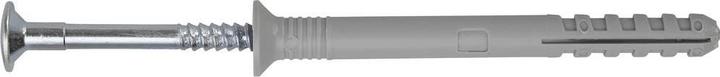 Produktbild SWG Nageldübel zum Einschlagen vormontiert 6 x 40 mm Nylon 190 St (190 Stk.)