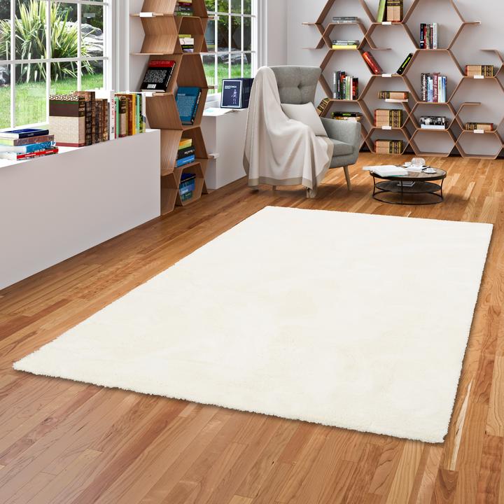 Image du produit Snapstyle Tapis shaggy de luxe à poils hauts Velours (100 x 100 cm)