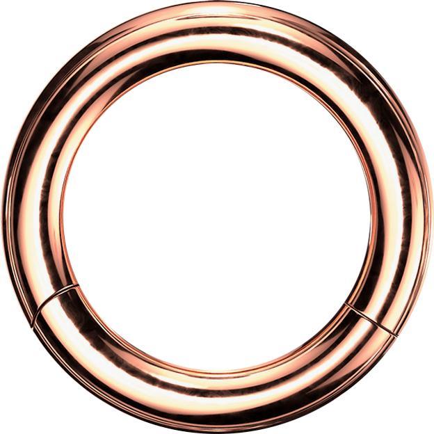 Star Piercing Segmentring klappbar rosegold (Chirurgenstahl 316L, ohne Messing)