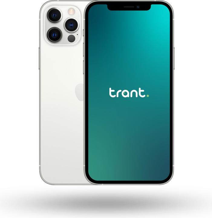 Actual product image Trant.ch iPhone 12 Pro (256 GB, Silver, 240.16", SIM + eSIM, A / Like new)