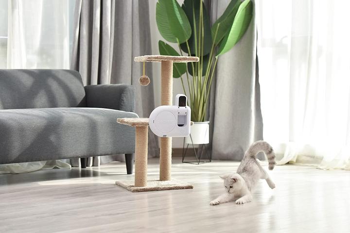 Image du produit Dogness Caméra pour animaux domestiques, blanc