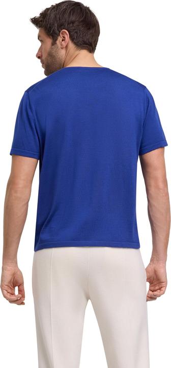 Image du produit Falke Les hommes (L)