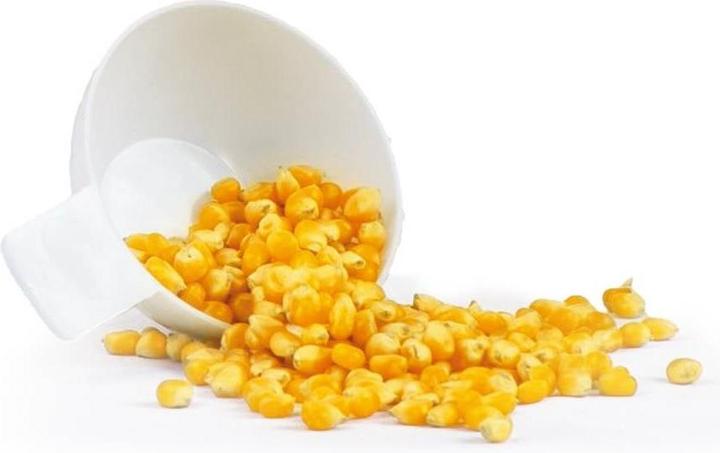 Produktbild Silva Homeline PM 440 428023 Popcorn-Maker Weiss