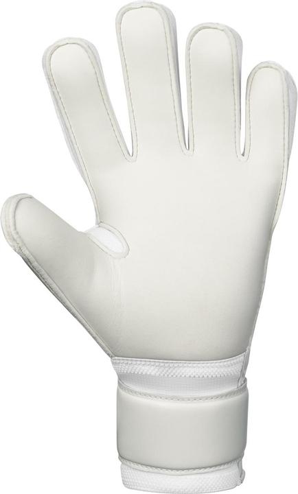 Immagine prodotto JAKO Guanto TW Animal Basic RC (8)