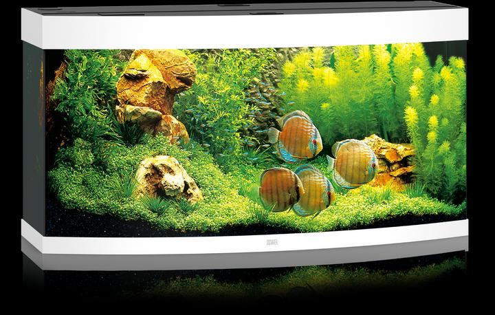 Image du produit Juwel Aquarium Vision 260 Aquarium 121x46x62cm blanc (260 l)