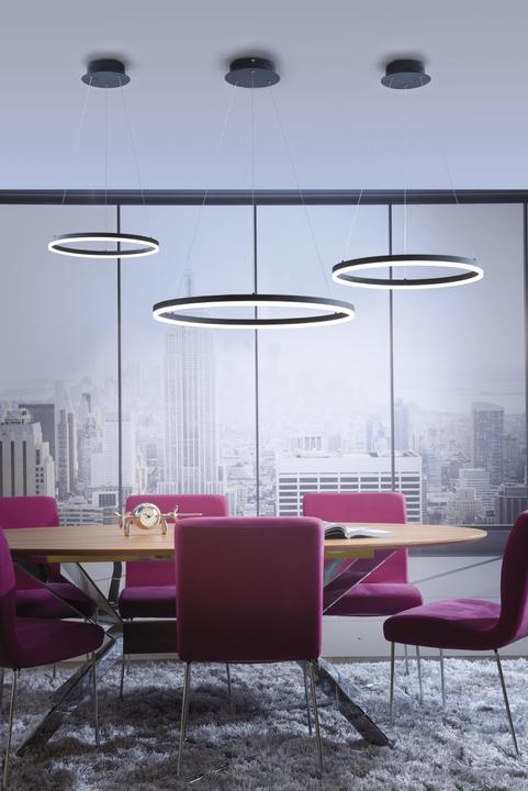 Image du produit Paul Neuhaus Titus (4500 lm)