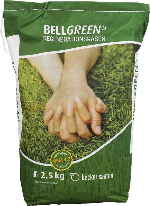 Immagine prodotto Becker Saaten BELLGREEN® Regenerationsrasen 2.5kg (Semi di piante)