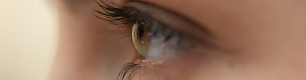 Produktbild Sony FE 70-200mm f/4 Macro G OSS II (Sony E, APS-C / DX, Vollformat)