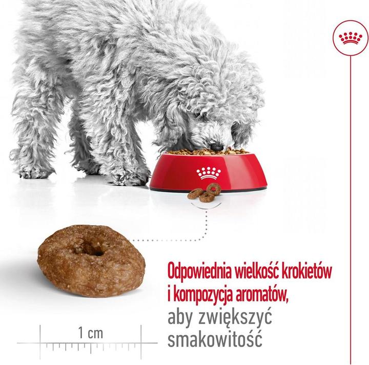 Actual product image Royal Canin Adult dry food (Senior, 1 pcs., 3500 g)