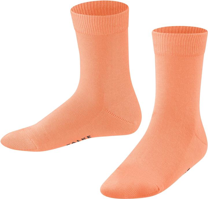 Cantaloupe