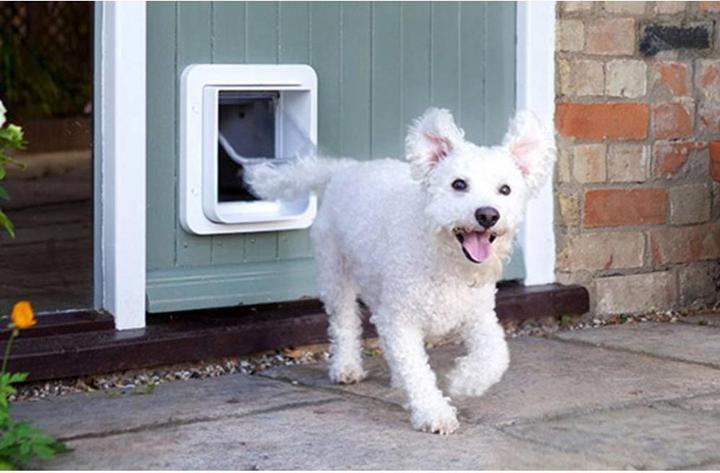 Actual product image SureFlap XXL cat door (Microchip Cat Flap)