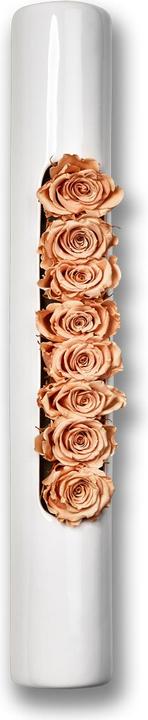Image du produit Flowerbox Roses en céramique Infinity-Bloom Tube (Fleurs à l'infini)