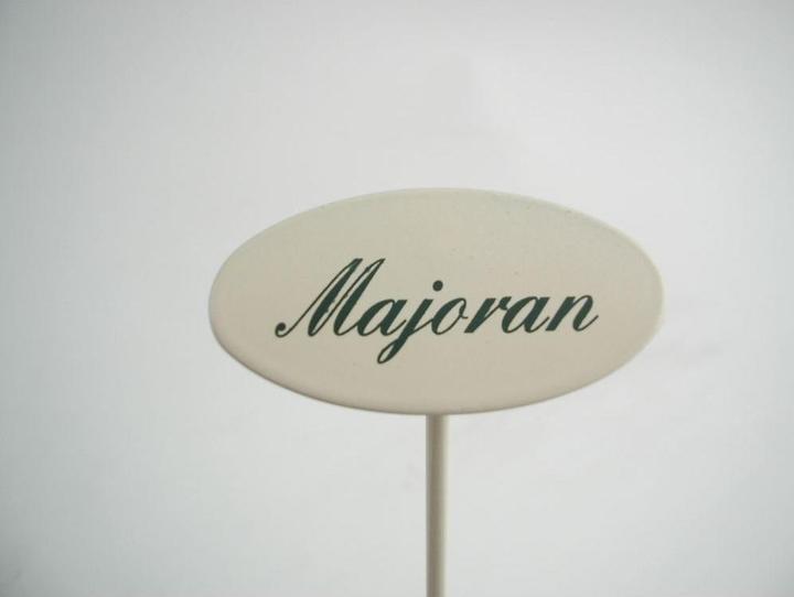 Spice plug marjoram (20 cm)