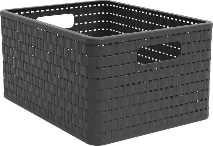 Immagine prodotto Rotho Paese (1 x, 37 x 28 x 19 cm)