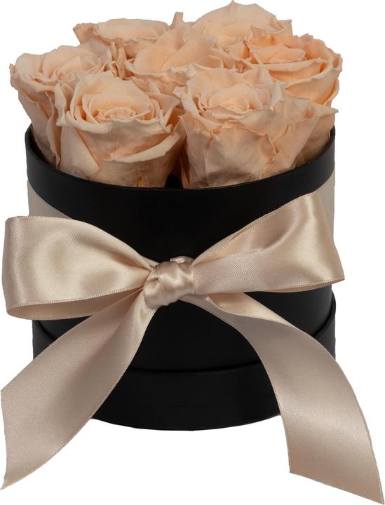 apricot (black box)