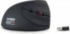 Actual product image ERGO MOUSE 1600 DPI WIRELESS (Wireless)
