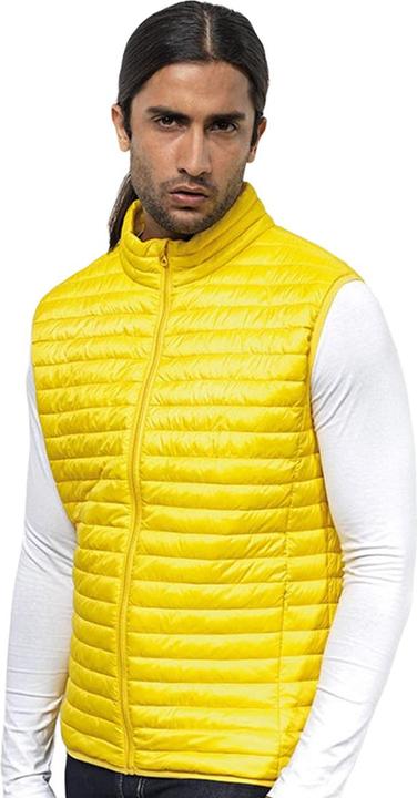 Image du produit 2786 Bodywarmer Tribe Fineline (XS)