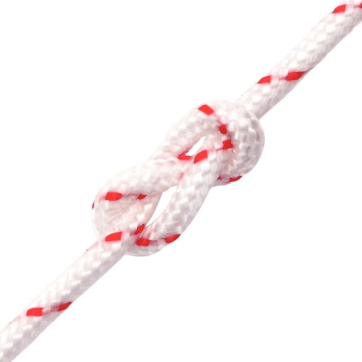 Actual product image VidaXL Starter rope and Ø5 mm 10 m nylon (10 m)