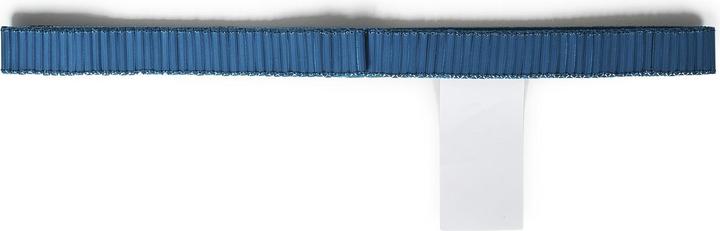 Actual product image Alberta Ferretti Belts Blue (44)