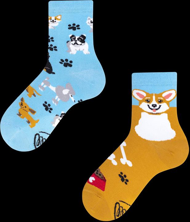 Actual product image Many Mornings Playful Dog (Single pack, 23 - 26)