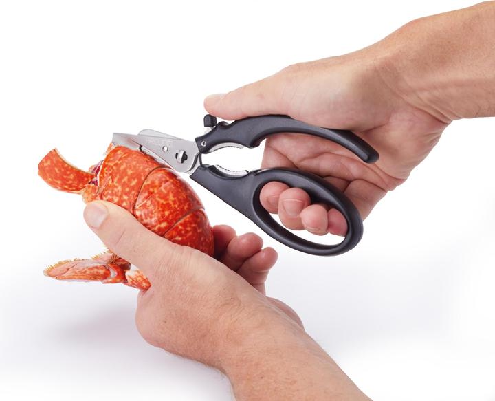Actual product image Master Class 18.5cm Seafood Shears, Blister Carded