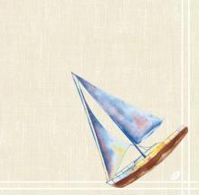 Produktbild Duni Serviet Dunisoft Airlaid 40x40 cm Tide,12 pk x 60 stk/krt