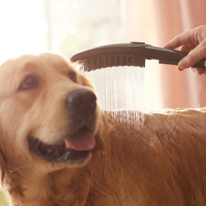 Productafbeelding hansgrohe DogShower hondendouche 150 (3 straalsoorten) (3 Typen balken, 7.60 l/min)