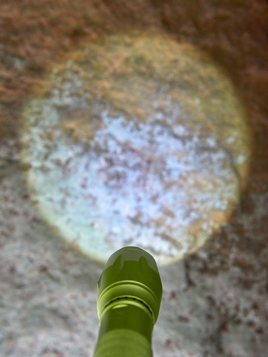 Actual product image Haba Terra Kids