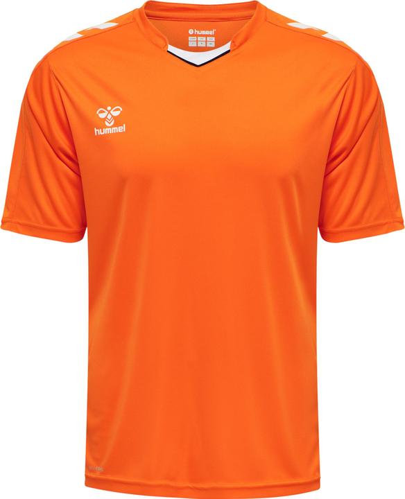 Tigre orange