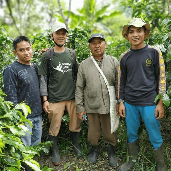 Actual product image Tropical Mountains SUMATRA Orang Utan Coffee (1000 g, Medium roast)
